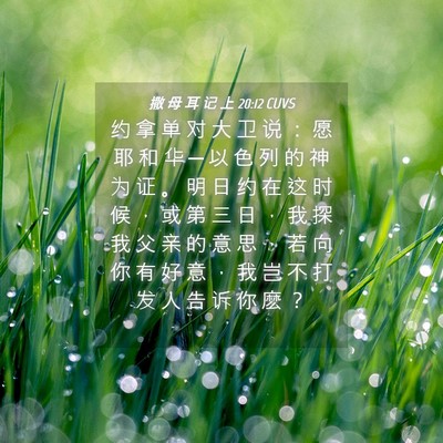 Picture 04 - 撒 母 耳 记 上 20:12 CUVS - 约 拿 单 对 大 卫 说 ： 愿 耶 和 华 - Bible Verse Picture