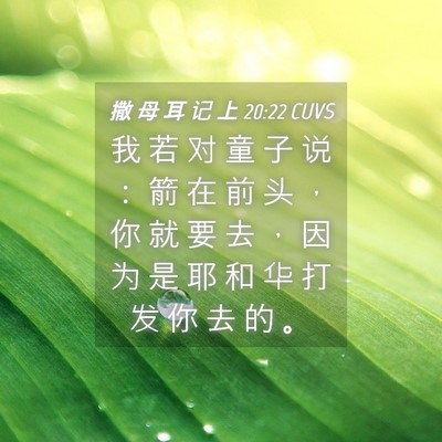 Picture 04 - 撒 母 耳 记 上 20:22 CUVS - 我 若 对 童 子 说 ： 箭 在 前 头 ， - Bible Verse Picture