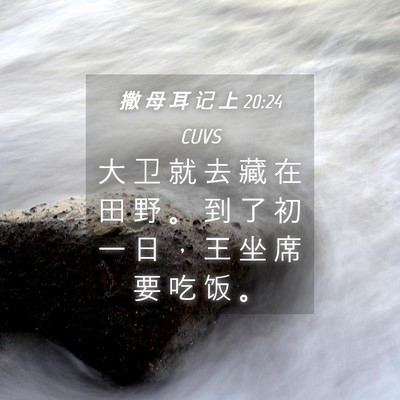 Picture 04 - 撒 母 耳 记 上 20:24 CUVS - 大 卫 就 去 藏 在 田 野 。 到 了 初 - Bible Verse Picture