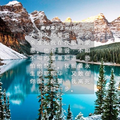 Picture 04 - 撒 母 耳 记 上 20:3 CUVS - 大 卫 又 起 誓 说 ： 你 父 亲 准 知 - Bible Verse Picture