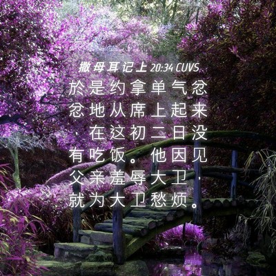 Picture 04 - 撒 母 耳 记 上 20:34 CUVS - 於 是 约 拿 单 气 忿 忿 地 从 席 上 - Bible Verse Picture