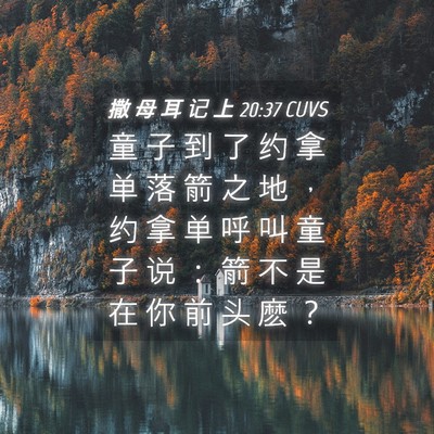 Picture 04 - 撒 母 耳 记 上 20:37 CUVS - 童 子 到 了 约 拿 单 落 箭 之 地 ， - Bible Verse Picture