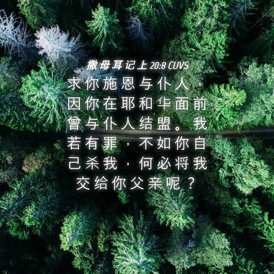 Picture 04 - 撒 母 耳 记 上 20:8 CUVS - 求 你 施 恩 与 仆 人 ， 因 你 在 耶 - Bible Verse Picture