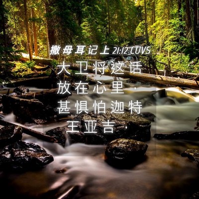 Picture 04 - 撒 母 耳 记 上 21:12 CUVS - 大 卫 将 这 话 放 在 心 里 ， 甚 惧 - Bible Verse Picture