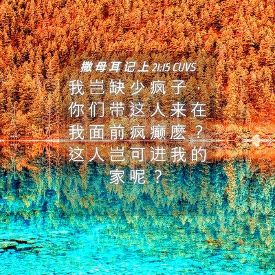 Picture 04 - 撒 母 耳 记 上 21:15 CUVS - 我 岂 缺 少 疯 子 ， 你 们 带 这 人 - Bible Verse Picture