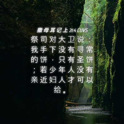 Picture 04 - 撒 母 耳 记 上 21:4 CUVS - 祭 司 对 大 卫 说 ： 我 手 下 没 有 - Bible Verse Picture
