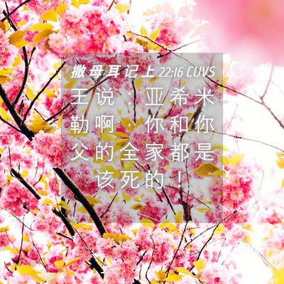 Picture 04 - 撒 母 耳 记 上 22:16 CUVS - 王 说 ： 亚 希 米 勒 啊 ， 你 和 你 - Bible Verse Picture