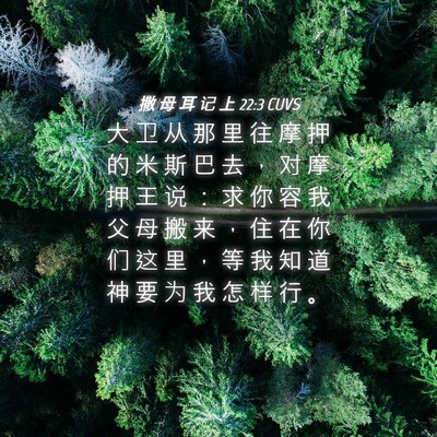Picture 04 - 撒 母 耳 记 上 22:3 CUVS - 大 卫 从 那 里 往 摩 押 的 米 斯 巴 - Bible Verse Picture
