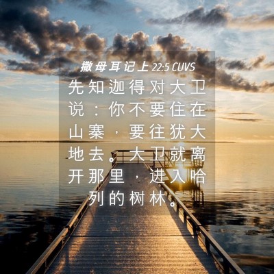 Picture 04 - 撒 母 耳 记 上 22:5 CUVS - 先 知 迦 得 对 大 卫 说 ： 你 不 要 - Bible Verse Picture