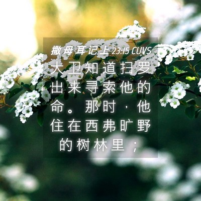 Picture 04 - 撒 母 耳 记 上 23:15 CUVS - 大 卫 知 道 扫 罗 出 来 寻 索 他 的 - Bible Verse Picture