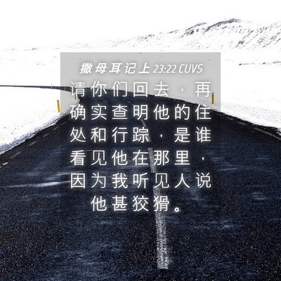 Picture 04 - 撒 母 耳 记 上 23:22 CUVS - 请 你 们 回 去 ， 再 确 实 查 明 他 - Bible Verse Picture
