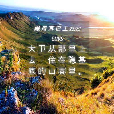 Picture 04 - 撒 母 耳 记 上 23:29 CUVS - 大 卫 从 那 里 上 去 ， 住 在 隐 基 - Bible Verse Picture