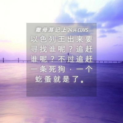Picture 04 - 撒 母 耳 记 上 24:14 CUVS - 以 色 列 王 出 来 要 寻 找 谁 呢 ？ - Bible Verse Picture