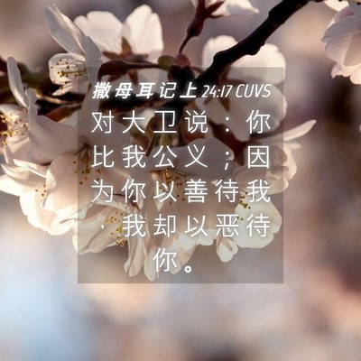 Picture 04 - 撒 母 耳 记 上 24:17 CUVS - 对 大 卫 说 ： 你 比 我 公 义 ； 因 - Bible Verse Picture