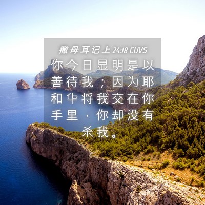 Picture 04 - 撒 母 耳 记 上 24:18 CUVS - 你 今 日 显 明 是 以 善 待 我 ； 因 - Bible Verse Picture