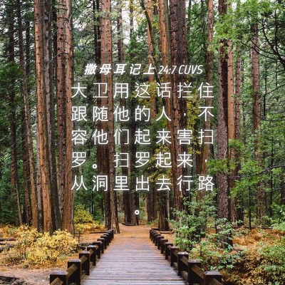 Picture 04 - 撒 母 耳 记 上 24:7 CUVS - 大 卫 用 这 话 拦 住 跟 随 他 的 人 - Bible Verse Picture