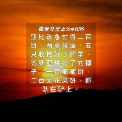 Picture 04 - 撒 母 耳 记 上 25:18 CUVS - 亚 比 该 急 忙 将 二 百 饼 ， 两 皮 - Bible Verse Picture