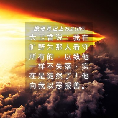 Picture 04 - 撒 母 耳 记 上 25:21 CUVS - 大 卫 曾 说 ： 我 在 旷 野 为 那 人 - Bible Verse Picture