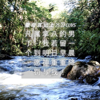 Picture 04 - 撒 母 耳 记 上 25:22 CUVS - 凡 属 拿 八 的 男 丁 ， 我 若 留 一 - Bible Verse Picture