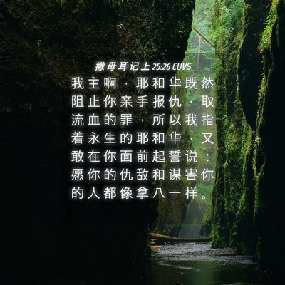 Picture 04 - 撒 母 耳 记 上 25:26 CUVS - 我 主 啊 ， 耶 和 华 既 然 阻 止 你 - Bible Verse Picture