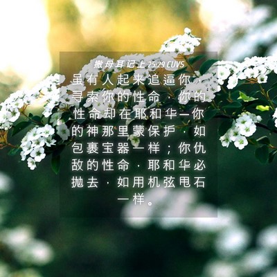 Picture 04 - 撒 母 耳 记 上 25:29 CUVS - 虽 有 人 起 来 追 逼 你 ， 寻 索 你 - Bible Verse Picture
