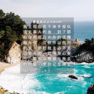 Picture 04 - 撒 母 耳 记 上 25:30 CUVS - 我 主 现 在 若 不 亲 手 报 仇 流 无 - Bible Verse Picture