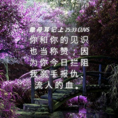 Picture 04 - 撒 母 耳 记 上 25:33 CUVS - 你 和 你 的 见 识 也 当 称 赞 ； 因 - Bible Verse Picture