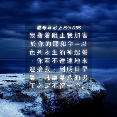 Picture 04 - 撒 母 耳 记 上 25:34 CUVS - 我 指 着 阻 止 我 加 害 於 你 的 耶 - Bible Verse Picture