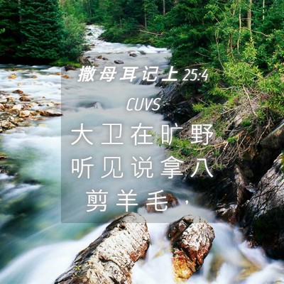 Picture 04 - 撒 母 耳 记 上 25:4 CUVS - 大 卫 在 旷 野 听 见 说 拿 八 剪 羊 - Bible Verse Picture