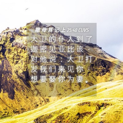 Picture 04 - 撒 母 耳 记 上 25:40 CUVS - 大 卫 的 仆 人 到 了 迦 密 见 亚 比 - Bible Verse Picture