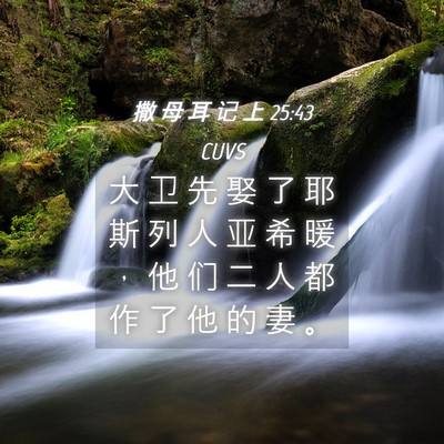 Picture 04 - 撒 母 耳 记 上 25:43 CUVS - 大 卫 先 娶 了 耶 斯 列 人 亚 希 暖 - Bible Verse Picture