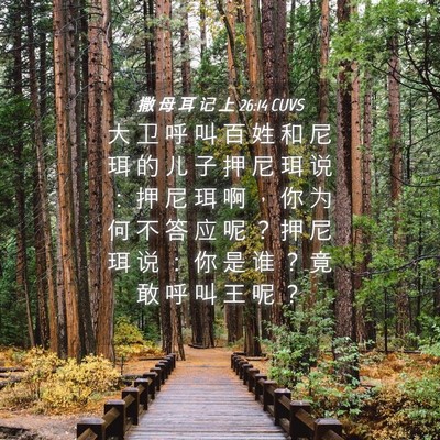 Picture 04 - 撒 母 耳 记 上 26:14 CUVS - 大 卫 呼 叫 百 姓 和 尼 珥 的 儿 子 - Bible Verse Picture