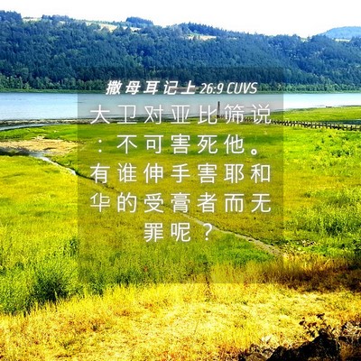 Picture 04 - 撒 母 耳 记 上 26:9 CUVS - 大 卫 对 亚 比 筛 说 ： 不 可 害 死 - Bible Verse Picture