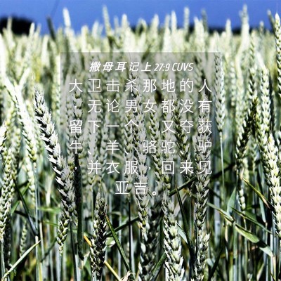 Picture 04 - 撒 母 耳 记 上 27:9 CUVS - 大 卫 击 杀 那 地 的 人 ， 无 论 男 - Bible Verse Picture