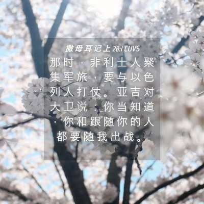 Picture 04 - 撒 母 耳 记 上 28:1 CUVS - 那 时 ， 非 利 士 人 聚 集 军 旅 ， - Bible Verse Picture