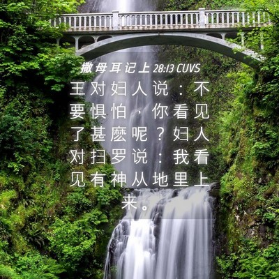 Picture 04 - 撒 母 耳 记 上 28:13 CUVS - 王 对 妇 人 说 ： 不 要 惧 怕 ， 你 - Bible Verse Picture