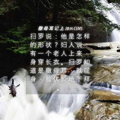 Picture 04 - 撒 母 耳 记 上 28:14 CUVS - 扫 罗 说 ： 他 是 怎 样 的 形 状 ？ - Bible Verse Picture