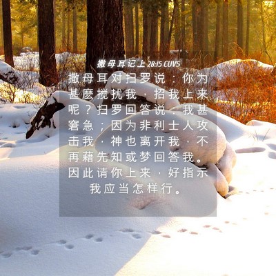 Picture 04 - 撒 母 耳 记 上 28:15 CUVS - 撒 母 耳 对 扫 罗 说 ： 你 为 甚 麽 - Bible Verse Picture