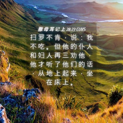 Picture 04 - 撒 母 耳 记 上 28:23 CUVS - 扫 罗 不 肯 ， 说 ： 我 不 吃 。 但 - Bible Verse Picture