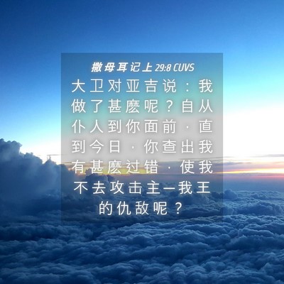 Picture 04 - 撒 母 耳 记 上 29:8 CUVS - 大 卫 对 亚 吉 说 ： 我 做 了 甚 麽 - Bible Verse Picture