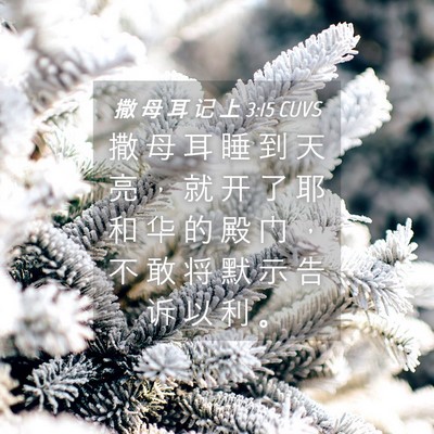 Picture 04 - 撒 母 耳 记 上 3:15 CUVS - 撒 母 耳 睡 到 天 亮 ， 就 开 了 耶 - Bible Verse Picture