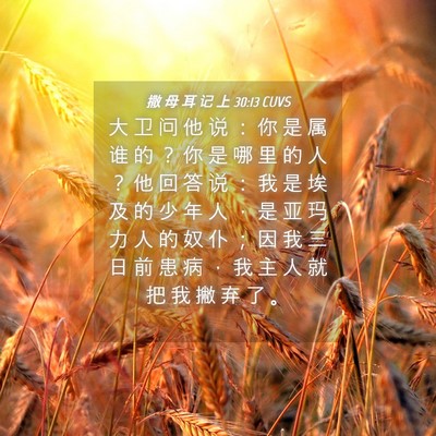 Picture 04 - 撒 母 耳 记 上 30:13 CUVS - 大 卫 问 他 说 ： 你 是 属 谁 的 ？ - Bible Verse Picture