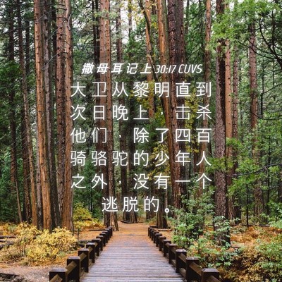 Picture 04 - 撒 母 耳 记 上 30:17 CUVS - 大 卫 从 黎 明 直 到 次 日 晚 上 ， - Bible Verse Picture