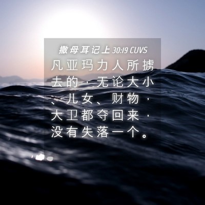 Picture 04 - 撒 母 耳 记 上 30:19 CUVS - 凡 亚 玛 力 人 所 掳 去 的 ， 无 论 - Bible Verse Picture