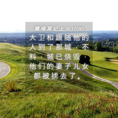 Picture 04 - 撒 母 耳 记 上 30:3 CUVS - 大 卫 和 跟 随 他 的 人 到 了 那 城 - Bible Verse Picture