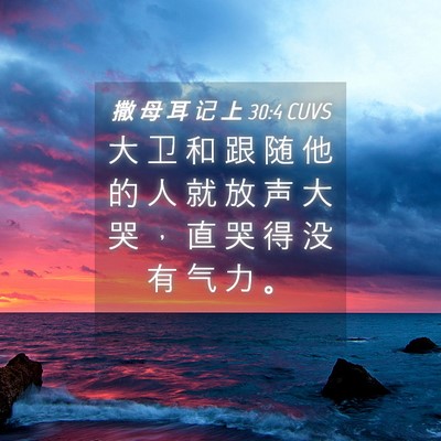 Picture 04 - 撒 母 耳 记 上 30:4 CUVS - 大 卫 和 跟 随 他 的 人 就 放 声 大 - Bible Verse Picture