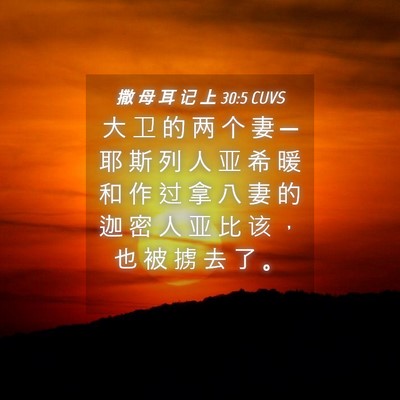 Picture 04 - 撒 母 耳 记 上 30:5 CUVS - 大 卫 的 两 个 妻 ─ 耶 斯 列 人 亚 - Bible Verse Picture