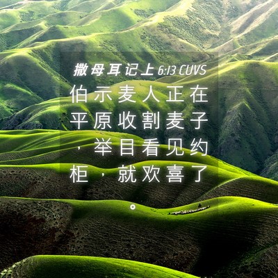 Picture 04 - 撒 母 耳 记 上 6:13 CUVS - 伯 示 麦 人 正 在 平 原 收 割 麦 子 - Bible Verse Picture
