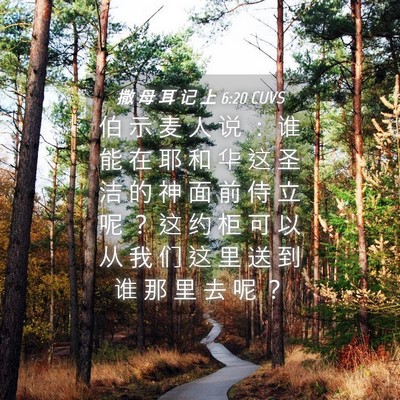 Picture 04 - 撒 母 耳 记 上 6:20 CUVS - 伯 示 麦 人 说 ： 谁 能 在 耶 和 华 - Bible Verse Picture