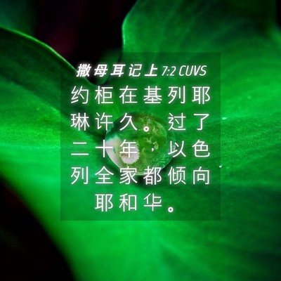 Picture 04 - 撒 母 耳 记 上 7:2 CUVS - 约 柜 在 基 列 耶 琳 许 久 。 过 了 - Bible Verse Picture